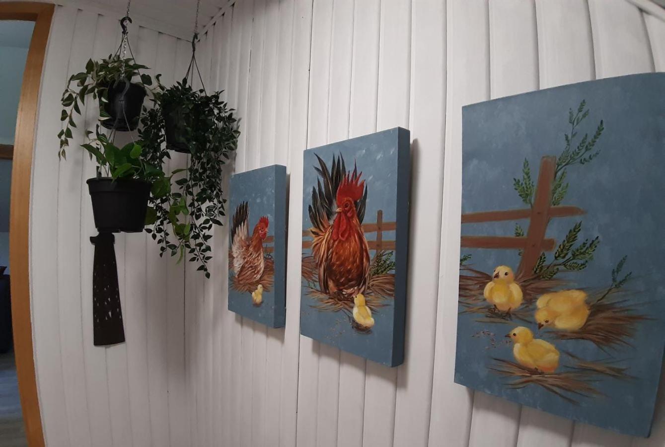 Dandelion Bed & Breakfast Рибовиль Экстерьер фото